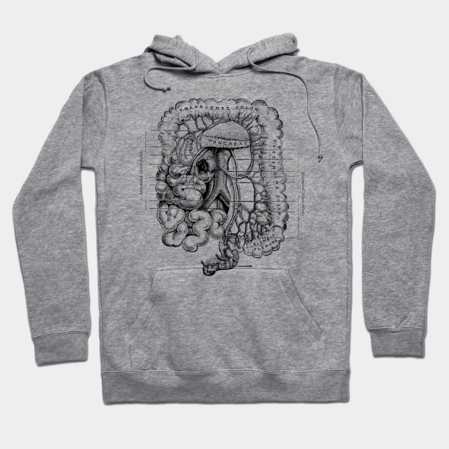 Human Body - Digestive System Hoodie by be yourself. design